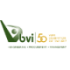 BVi Consulting Engineers logo